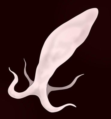 Blowjob Sperm Creature on Male Drama