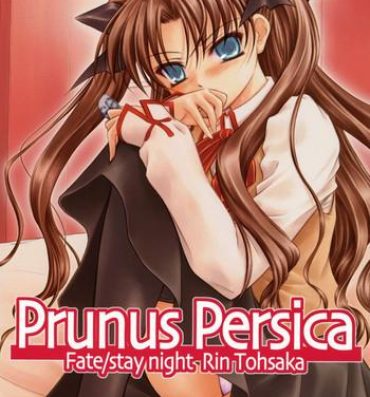Rough Sex Prunus Persica- Fate stay night hentai Threeway