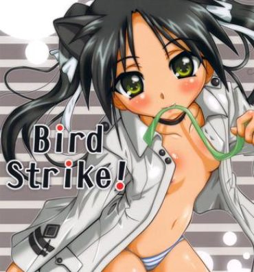 Colombian Bird Strike!- Strike witches hentai Hardcore Fuck
